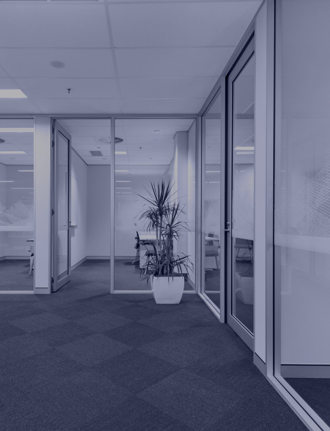 15 National Circuit - Work Space